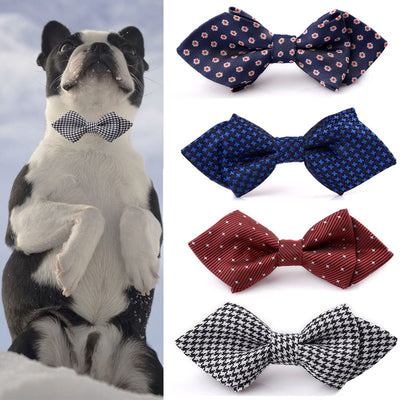 British-Style Dog Bow Tie Accessory