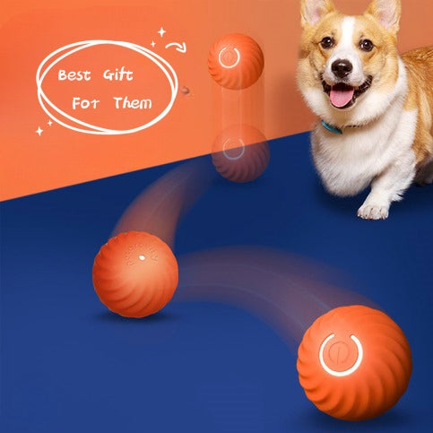 Rubber Ball Dog Chew & Fetch Toy