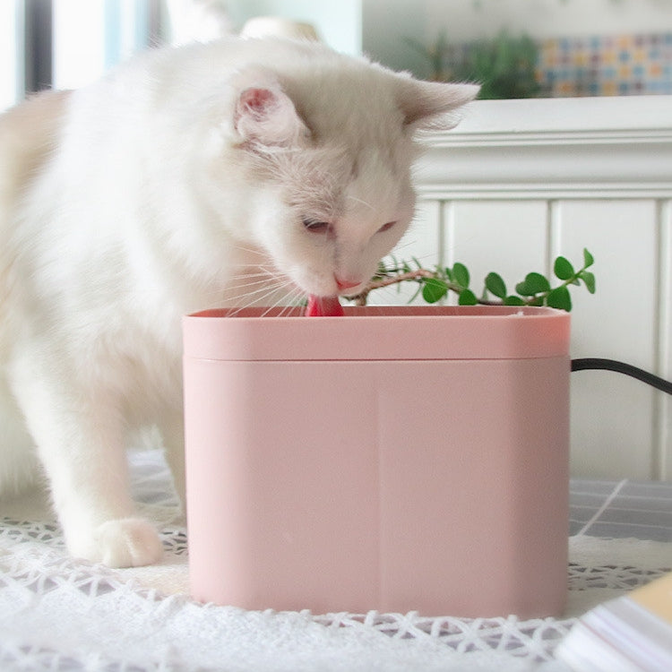 Smart Sensor Cat Drinking Fountain