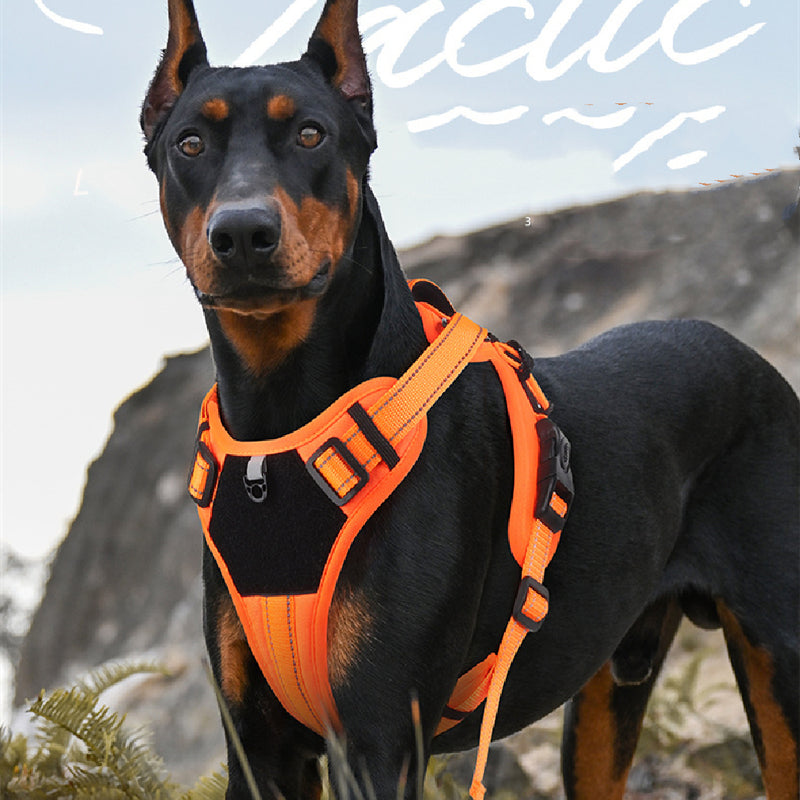 Anti-Escape Dog Harness with Hand Leash