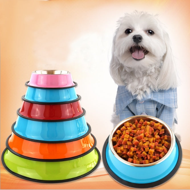 Basic Pet Feeding Bowl